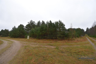 Działka budowlana z altaną blisko jeziora i przy l - Dołgie   -
Zachodniopomorskie Zdjęcie nr 8