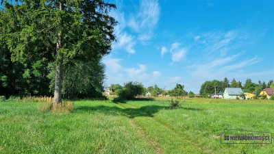 Działka na raty w miejscowości Piasek nad Odrą 70  - Piasek   -
Zachodniopomorskie Zdjęcie nr 6