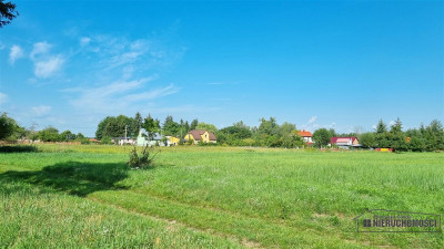 Działka na raty w miejscowości Piasek nad Odrą 70  - Piasek   -
Zachodniopomorskie Zdjęcie nr 7