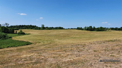 Już za 40600 zł na raty - działka w krainie jezio - Borne  -
Zachodniopomorskie Zdjęcie nr 11