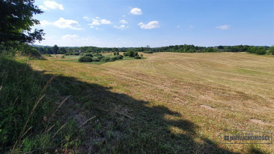 Już za 40600 zł na raty - działka w krainie jezio - Borne  -
Zachodniopomorskie Zdjęcie nr 14