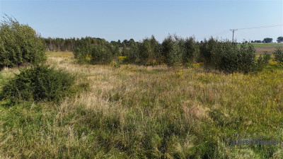 Działka około 20 minut od Bałtyku - Bielikowo   -
Zachodniopomorskie Zdjęcie nr 14