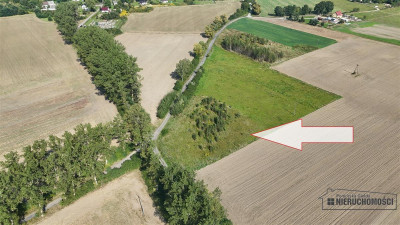 Działka około 20 minut od Bałtyku - Bielikowo   -
Zachodniopomorskie Zdjęcie nr 4