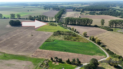 Działka około 20 minut od Bałtyku - Bielikowo   -
Zachodniopomorskie Zdjęcie nr 8