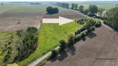 Działka około 20 minut od Bałtyku - Bielikowo   -
Zachodniopomorskie Zdjęcie nr 9