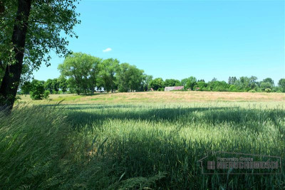 Działka budowlana blisko Kołobrzegu - Świecie Kołobrzeskie  -
Zachodniopomorskie Zdjęcie nr 11