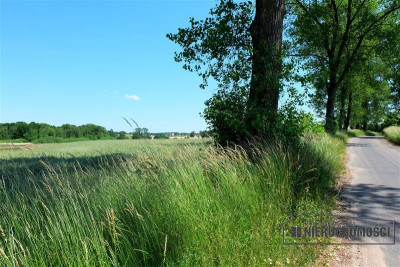Działka budowlana blisko Kołobrzegu - Świecie Kołobrzeskie  -
Zachodniopomorskie Zdjęcie nr 8