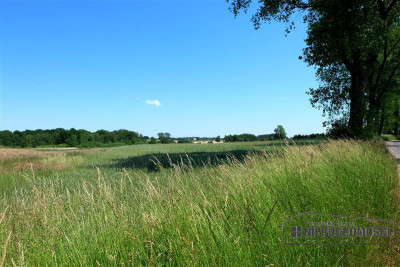 Działka budowlana blisko Kołobrzegu - Świecie Kołobrzeskie  -
Zachodniopomorskie Zdjęcie nr 9