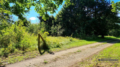 Działka budowlana w Sulikowiemedia dobry dojazd - Sulikowo  -
Zachodniopomorskie Zdjęcie nr 12