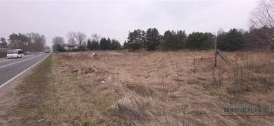 Atrakcyjna działka budowlana w Turowie - Turowo   -
Zachodniopomorskie Zdjęcie nr 5