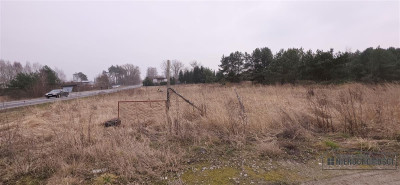 Atrakcyjna działka budowlana w Turowie - Turowo   -
Zachodniopomorskie Zdjęcie nr 6