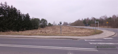 Atrakcyjna działka budowlana w Turowie - Turowo   -
Zachodniopomorskie Zdjęcie nr 7