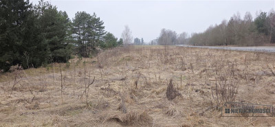 Atrakcyjna działka budowlana w Turowie - Turowo   -
Zachodniopomorskie Zdjęcie nr 8