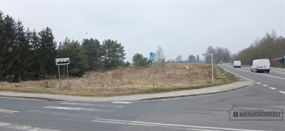 Atrakcyjna działka budowlana w Turowie - Turowo   -
Zachodniopomorskie Zdjęcie nr 9
