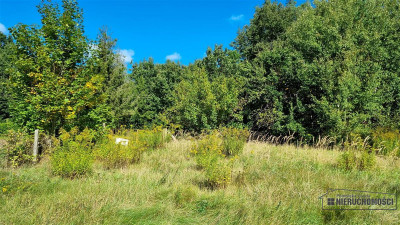 Działka budowlana na skraju wsi przy asfalcie - Nosibądy  -
Zachodniopomorskie Zdjęcie nr 14