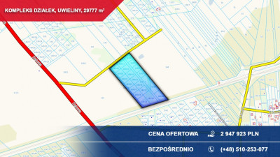 Kompleks 21 działek budowlanych 3ha Uwieliny gm Prażmów z MPZP Pod osiedle - Uwieliny  - mazowieckie