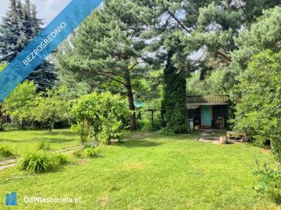 Działka Rekreacyjna ROD 500m2 Paluch 1 Włochy Warszawa - Włochy   -
mazowieckie Zdjęcie nr 4