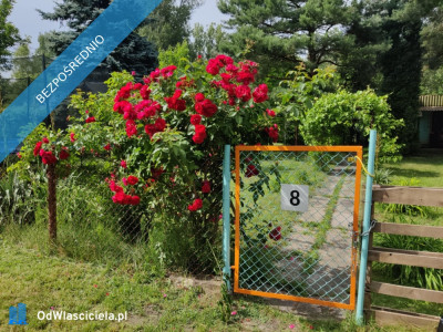 Działka Rekreacyjna ROD 500m2 Paluch 1 Włochy Warszawa - Włochy   -
mazowieckie Zdjęcie nr 6