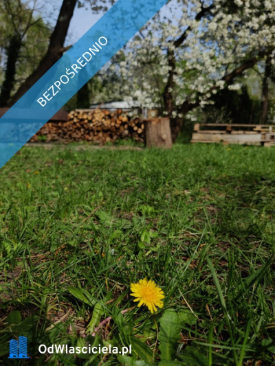 Działka Rekreacyjna ROD 500m2 Paluch 1 Włochy Warszawa - Włochy   -
mazowieckie Zdjęcie nr 8