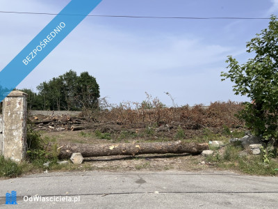 Nowa cena Środa Śląska - działka produkcyjno-usługowa 125h -    -
dolnośląskie Zdjęcie nr 4