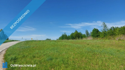 Działka na Jurze Brzeziny -    -
śląskie Zdjęcie nr 4