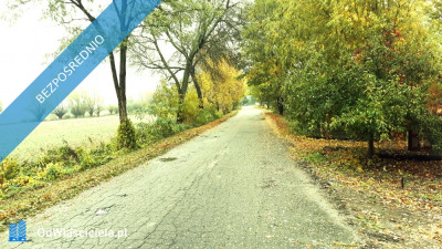 Działka siedliskowa z budynkiem -    -
mazowieckie Zdjęcie nr 7