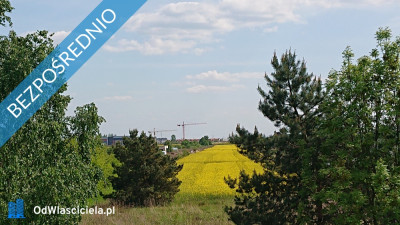 Działki budowlane Łady k Dawid Bankowych gm Raszyn  -    - mazowieckie