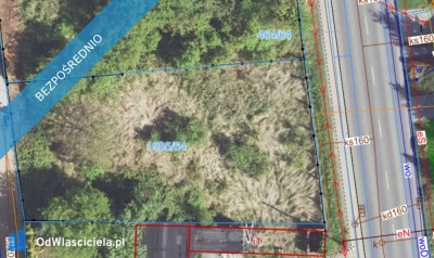 Działka 600m2 Mysłowice Morgi ulPukowca 1-sza linia zabudowy - Morgi   -
śląskie Zdjęcie nr 8