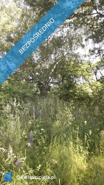 Gałków Mały działka na sprzedaż budowlana 1574 m aktualne WZ - Gałków Mały  -
łódzkie Zdjęcie nr 6