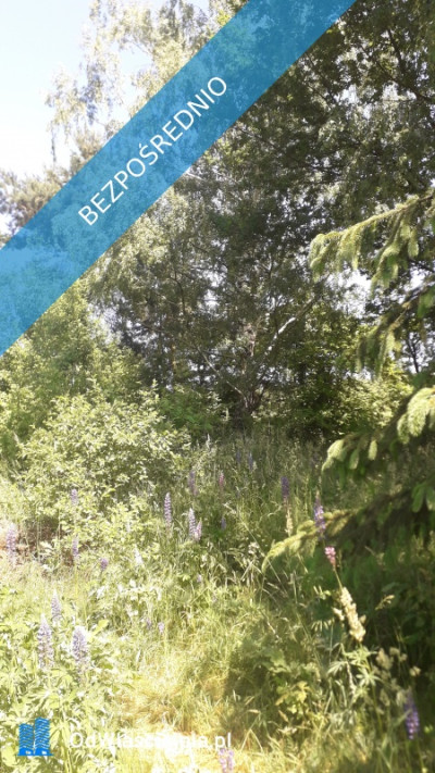 Gałków Mały działka na sprzedaż budowlana 1574 m aktualne WZ - Gałków Mały  -
łódzkie Zdjęcie nr 8