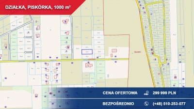 Sprzedam 1000 m2 Piskórka gm Prażmów BUDOWLANA - Piskórka  - mazowieckie