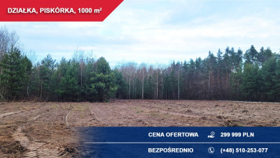 Sprzedam 1000 m2 Piskórka gm Prażmów BUDOWLANA - Piskórka  -
mazowieckie Zdjęcie nr 3