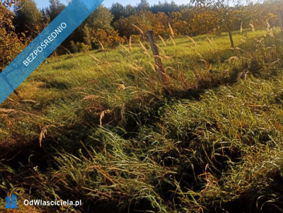 Wyjątkowa działka w sercu natury  Albigowa 77 arów ciszy i przestrzeni - Albigowa  - podkarpackie