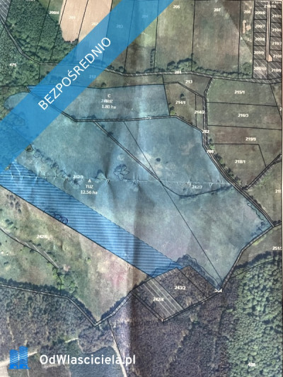 Sprzedam łąkę - Wrociszów  - lubuskie