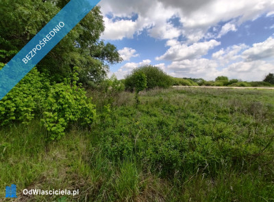Działka budowlana z warunkami zabudowy 1330m Linów 18301 - Linów  -
świętokrzyskie Zdjęcie nr 10
