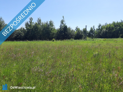 SPRZEDAM DZIAŁKĘ - Podmielowiec  -
świętokrzyskie Zdjęcie nr 2