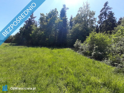 SPRZEDAM DZIAŁKĘ - Podmielowiec  -
świętokrzyskie Zdjęcie nr 3