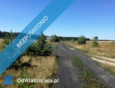 Ostatnia działka nad jeziorem w Wielkopolsce - Mościszki  -
wielkopolskie Zdjęcie nr 3