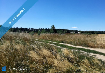 Ostatnia działka nad jeziorem w Wielkopolsce - Mościszki  -
wielkopolskie Zdjęcie nr 4