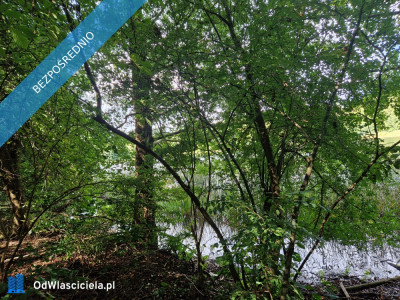 działka rekreacyjna nad jeziorem - Lubasz  - wielkopolskie