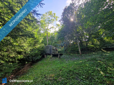 działka rekreacyjna nad jeziorem - Lubasz  -
wielkopolskie Zdjęcie nr 2