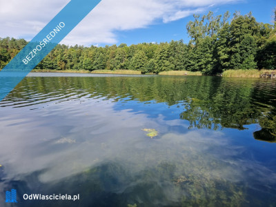 działka rekreacyjna nad jeziorem - Lubasz  -
wielkopolskie Zdjęcie nr 5
