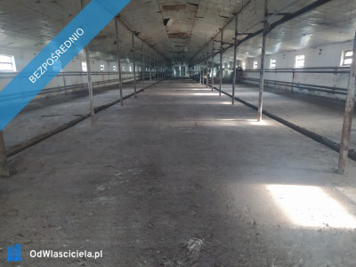 Działka inwestycyjna na sprzedaż - Posiadały  -
mazowieckie Zdjęcie nr 4