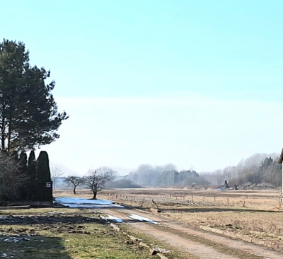 Sprzedam działkę w okolicy lasu i rzeki - Turowice  -
mazowieckie Zdjęcie nr 4