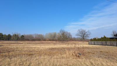 Sprzedam działkę w okolicy lasu i rzeki - Turowice  -
mazowieckie Zdjęcie nr 7