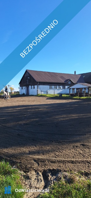 Sprzedam gospodarstwo rolne stajnię siedlisko mieszkanie - Prudnik  - opolskie