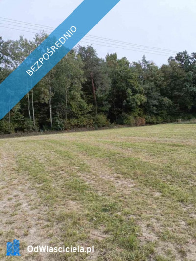 Sprzedam działkę budowlaną w Wierciszowie - Wierciszów  - lubelskie