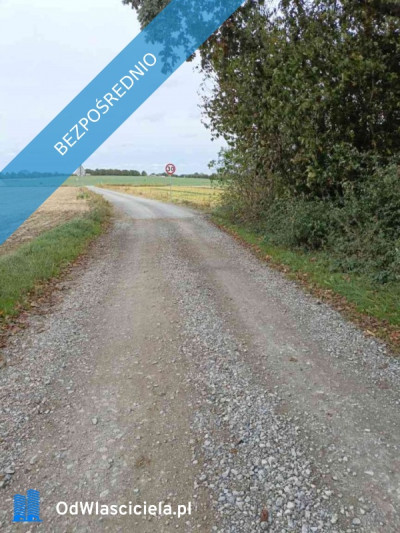 Sprzedam działkę budowlaną w Wierciszowie - Wierciszów  -
lubelskie Zdjęcie nr 3