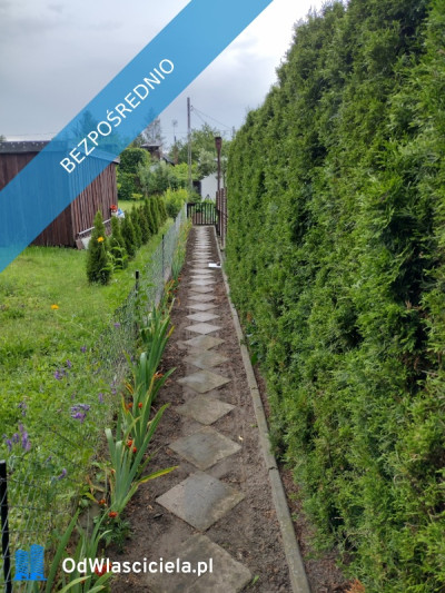 Działka ROD z domkiem 2025  Aleksandrów Kujawski - Aleksandrów Kujawski  -
kujawsko-pomorskie Zdjęcie nr 2