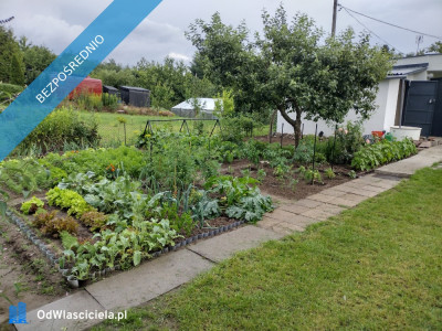 Działka ROD z domkiem 2025  Aleksandrów Kujawski - Aleksandrów Kujawski  -
kujawsko-pomorskie Zdjęcie nr 8